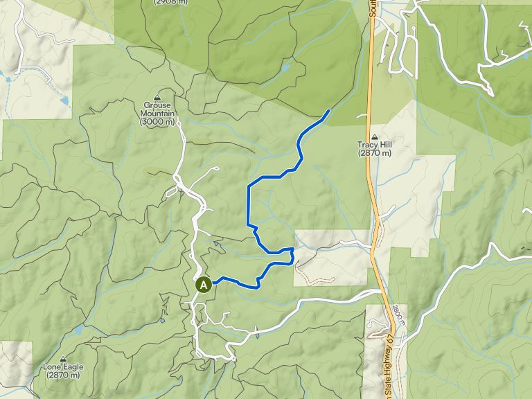 Elk Meadow Trail — Mueller State Park Collection: Collection Tour: le ...